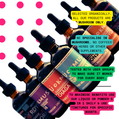 Complete Mushroom Concentrate Kit- Functional 5