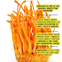 Organic & Pure 100% Cordyceps Mushroom Concentrate Supplement- 60 Servings