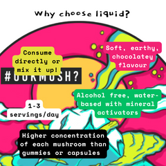 Organic 100% Chaga Mushroom Concentrate Supplement- 60 Servings