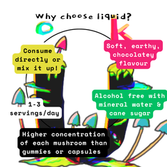 Organic 100% Reishi Mushroom Concentrate Supplement- 60 Servings