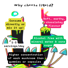 Organic 100% Turkey Tail Mushroom Concentrate Supplement 60 Servings