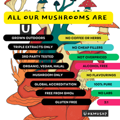 Organic 100% Reishi Mushroom Concentrate Supplement- 60 Servings