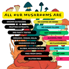 Organic 100% Lions Mane Mushroom Concentrate Supplement- 60 Servings