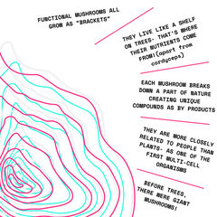 Organic 100% Chaga Mushroom Concentrate Supplement- 60 Servings