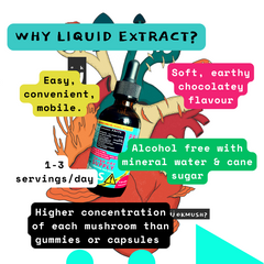 Complete Mushroom Concentrate Kit- Functional 5