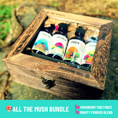 Complete Mushroom Concentrate Kit- Functional 5