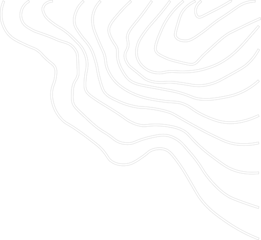 Why is Mighty Mush the best mushroom supplement? What's in it?