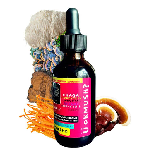 Create Your Own Mushroom Supplement Blend with Mushroom Tincture Benefits