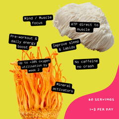 [18/102MINERALS] Mushroom Energy & Focus | Lions Mane & Cordyceps Supplement Concentrate