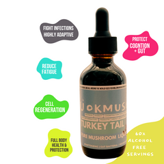 Organic 100% Turkey Tail Mushroom Concentrate Supplement 60 Servings