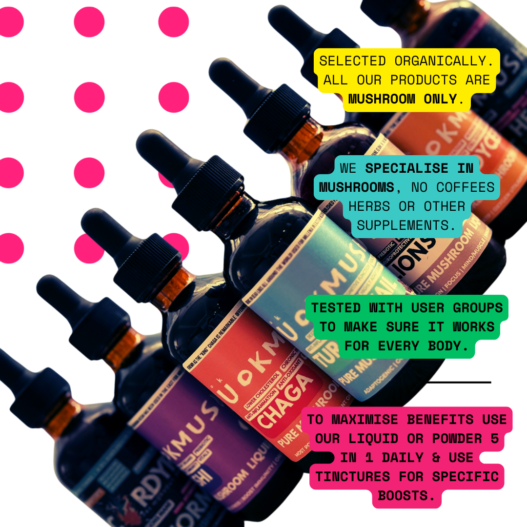 Complete Mushroom Concentrate Kit- Functional 5