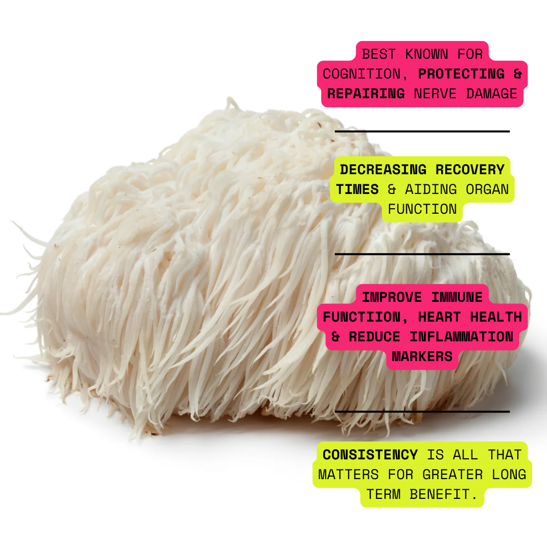 Organic 100% Lions Mane Mushroom Concentrate Supplement- 60 Servings