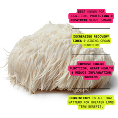 Organic 100% Lions Mane Mushroom Concentrate Supplement- 60 Servings