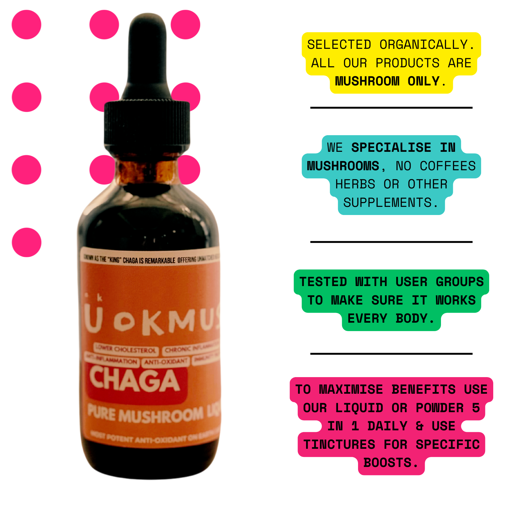 Organic 100% Chaga Mushroom Concentrate Supplement- 60 Servings