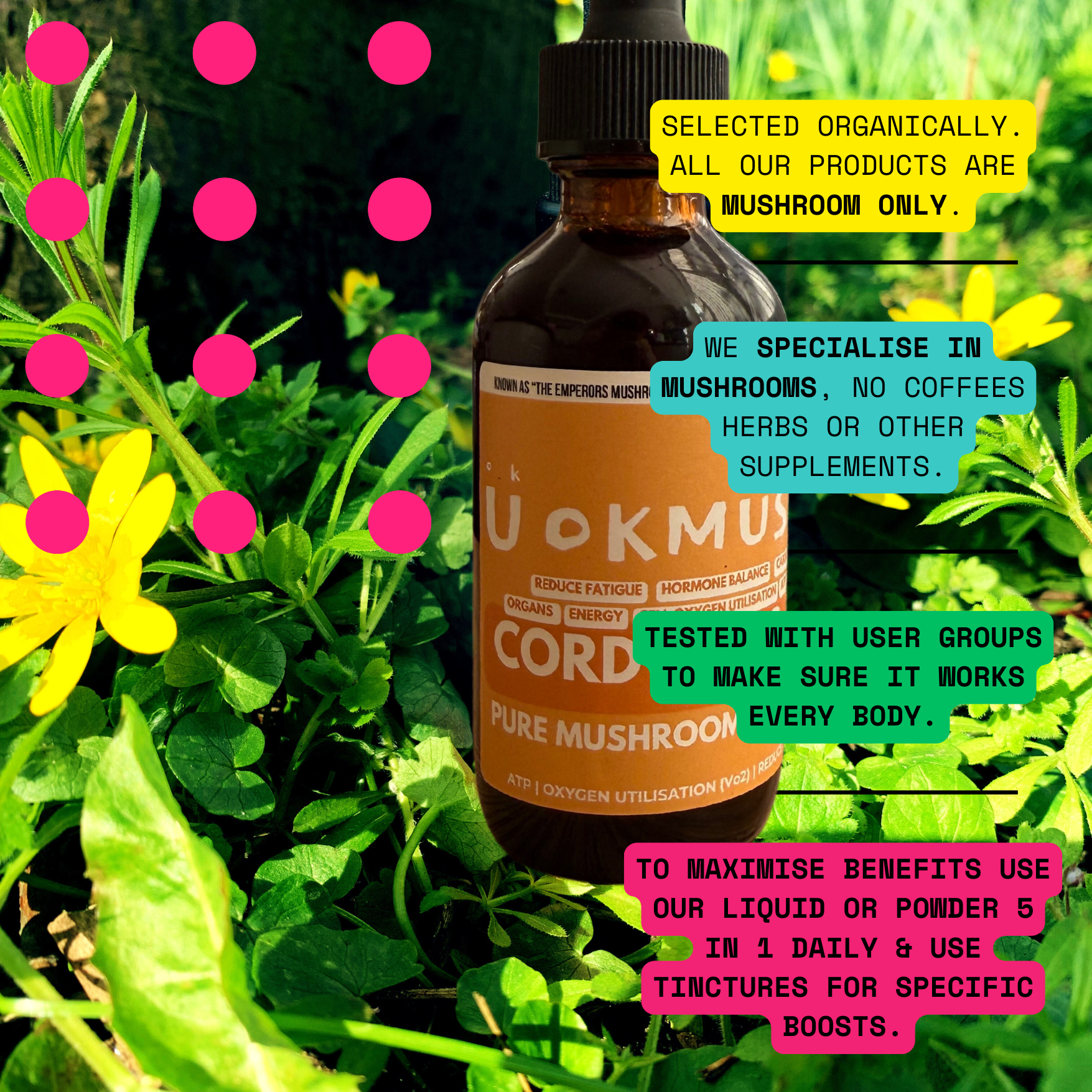 Organic & Pure 100% Cordyceps Mushroom Concentrate Supplement- 60 Servings