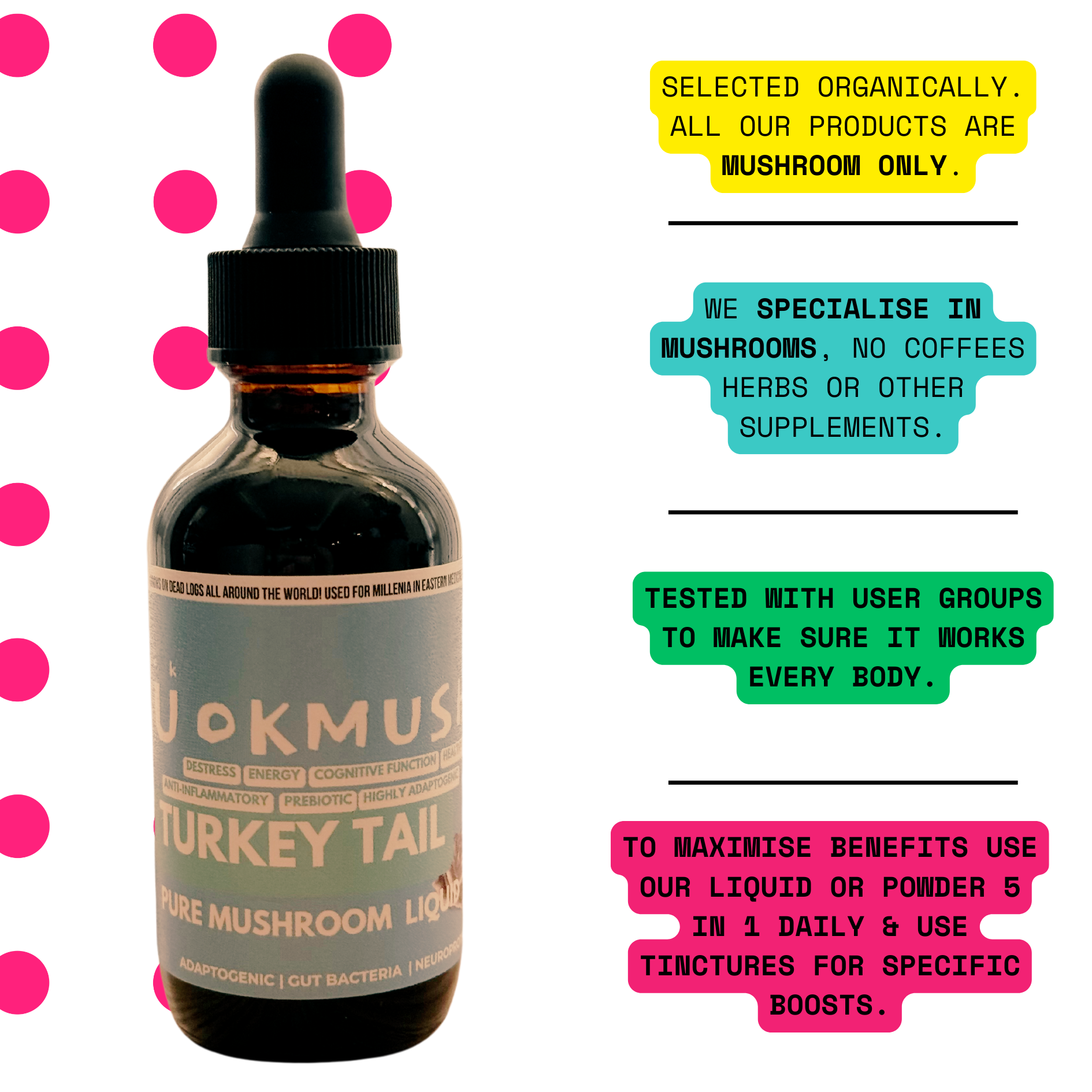 Organic 100% Turkey Tail Mushroom Concentrate Supplement 60 Servings