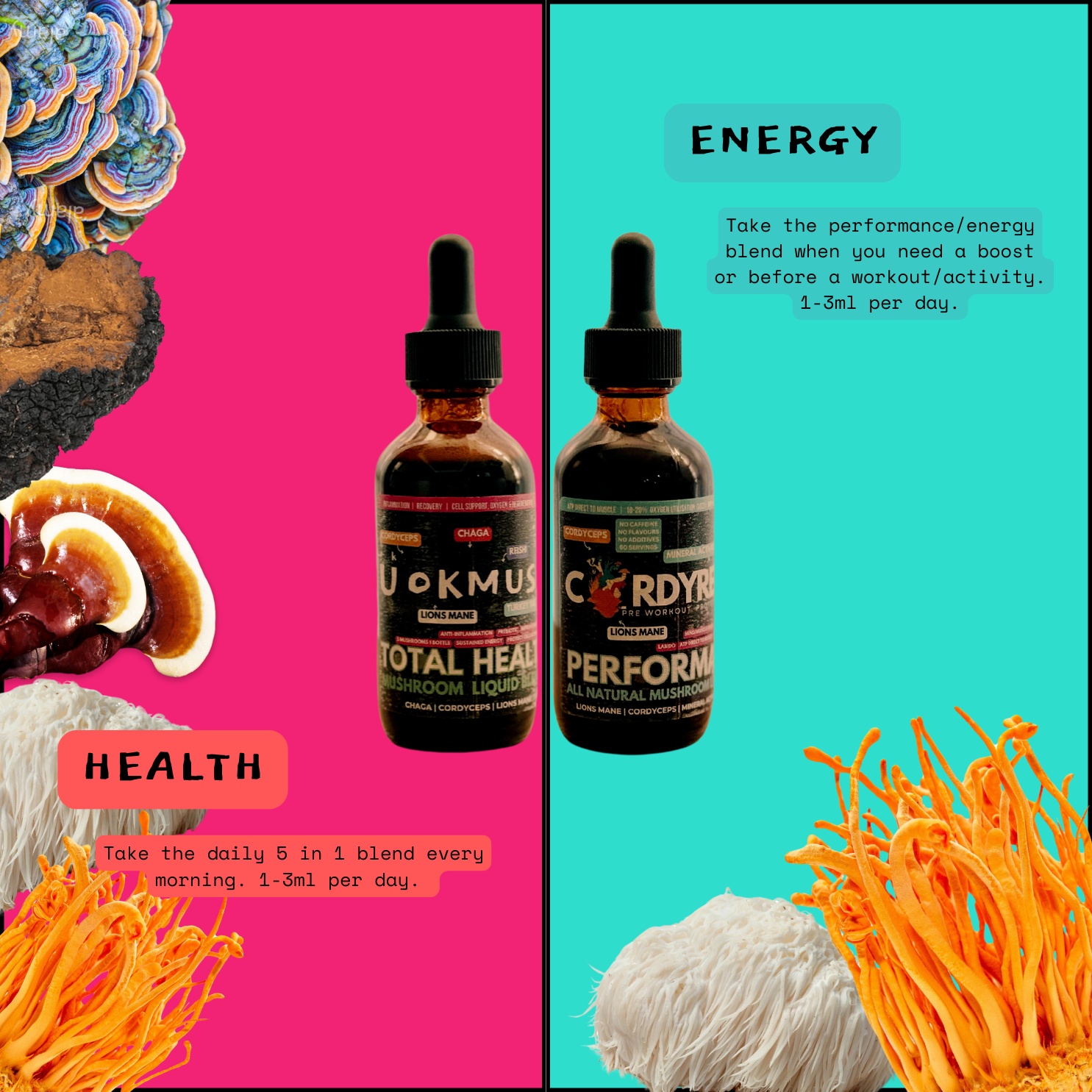 [18/102MINERALS] Mushroom Energy & Focus | Lions Mane & Cordyceps Supplement Concentrate