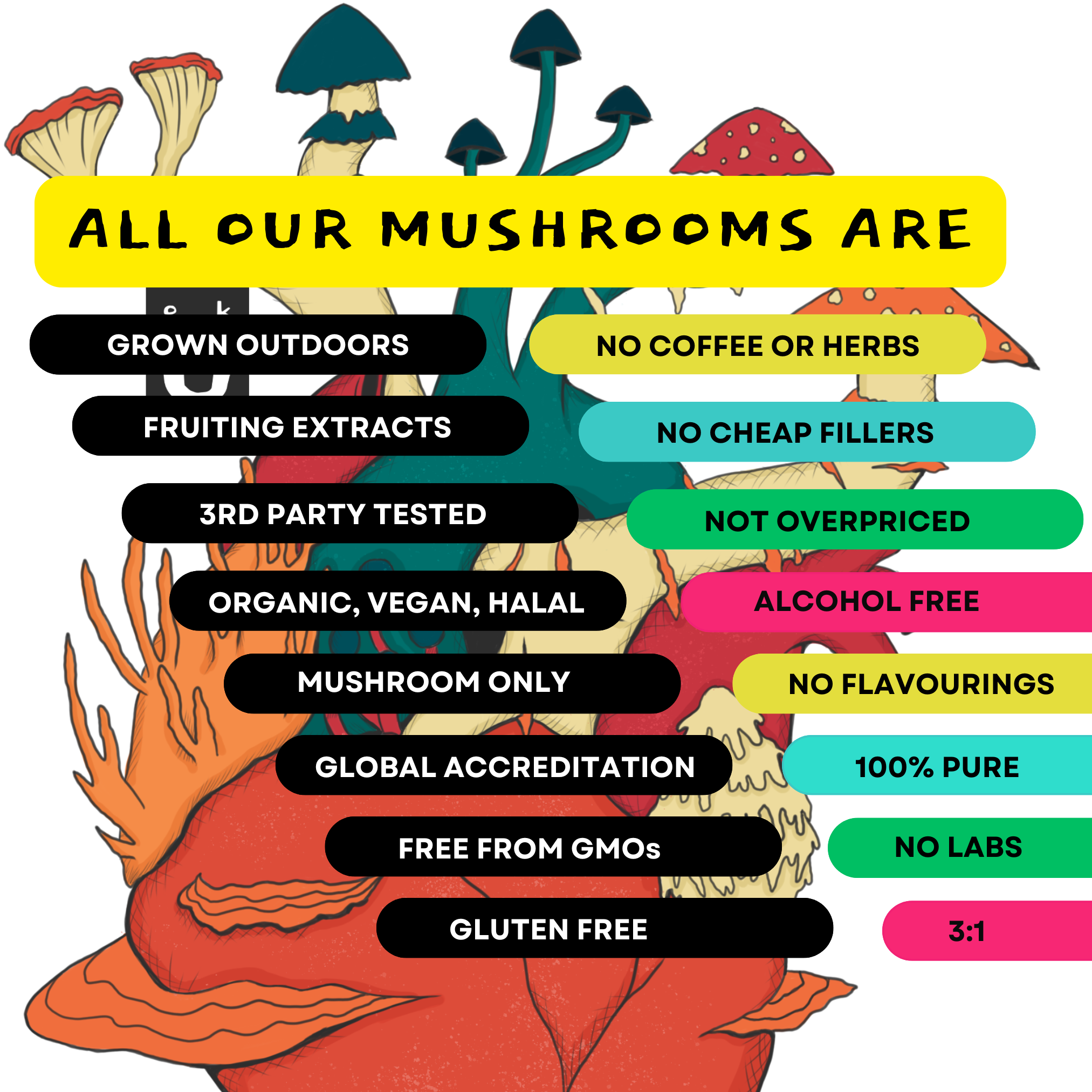 [22/102MINERALS] 5 Mushroom Supplement Concentrate- Health