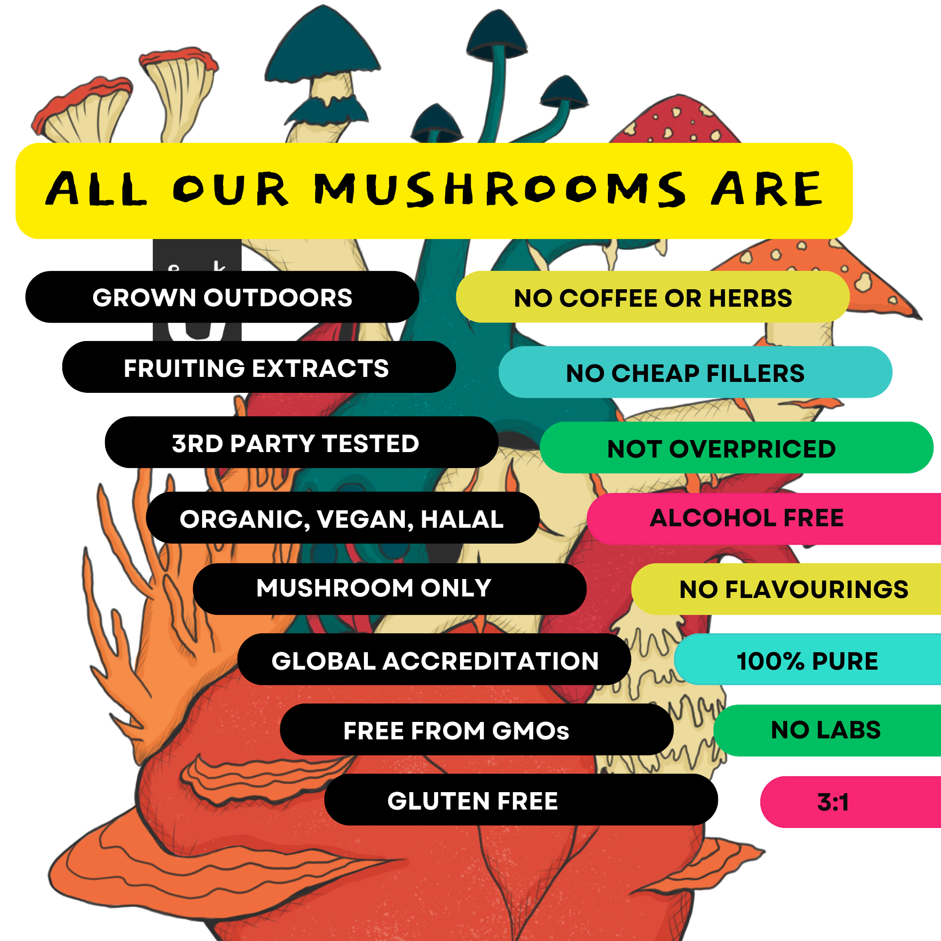 Organic 100% Turkey Tail Mushroom Concentrate Supplement 60 Servings