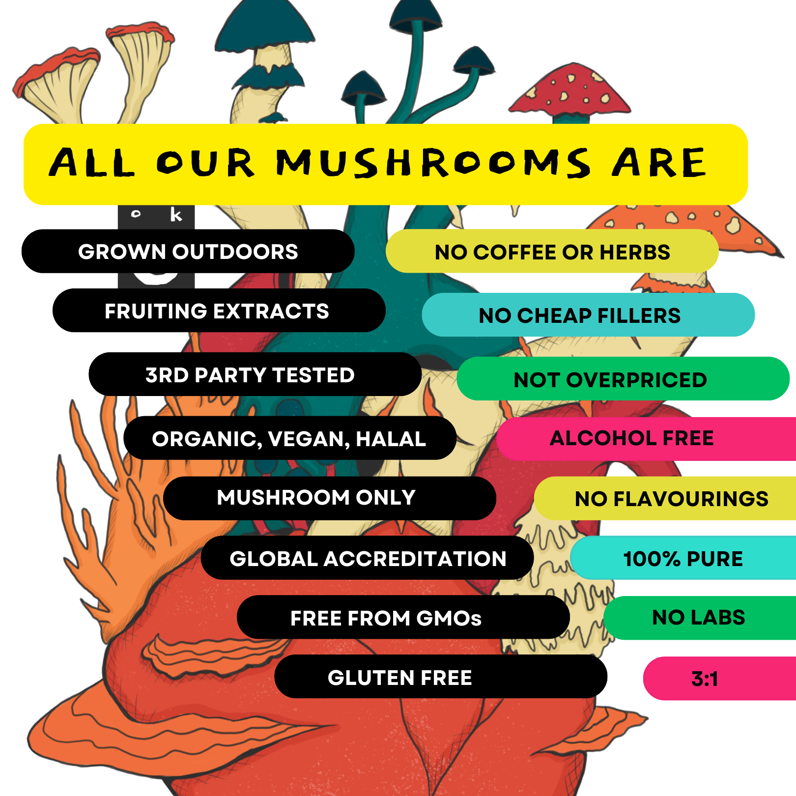 Organic 100% Chaga Mushroom Concentrate Supplement- 60 Servings