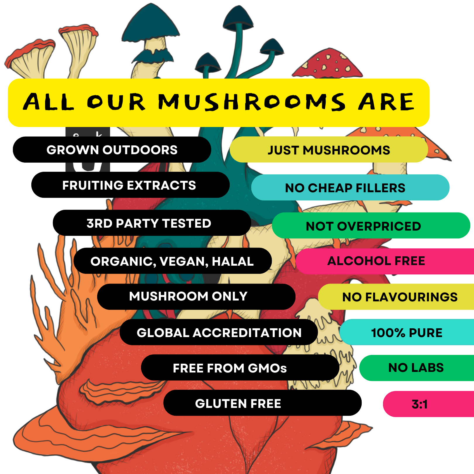 [18/102MINERALS] Mushroom Energy & Focus | Lions Mane & Cordyceps Supplement Concentrate
