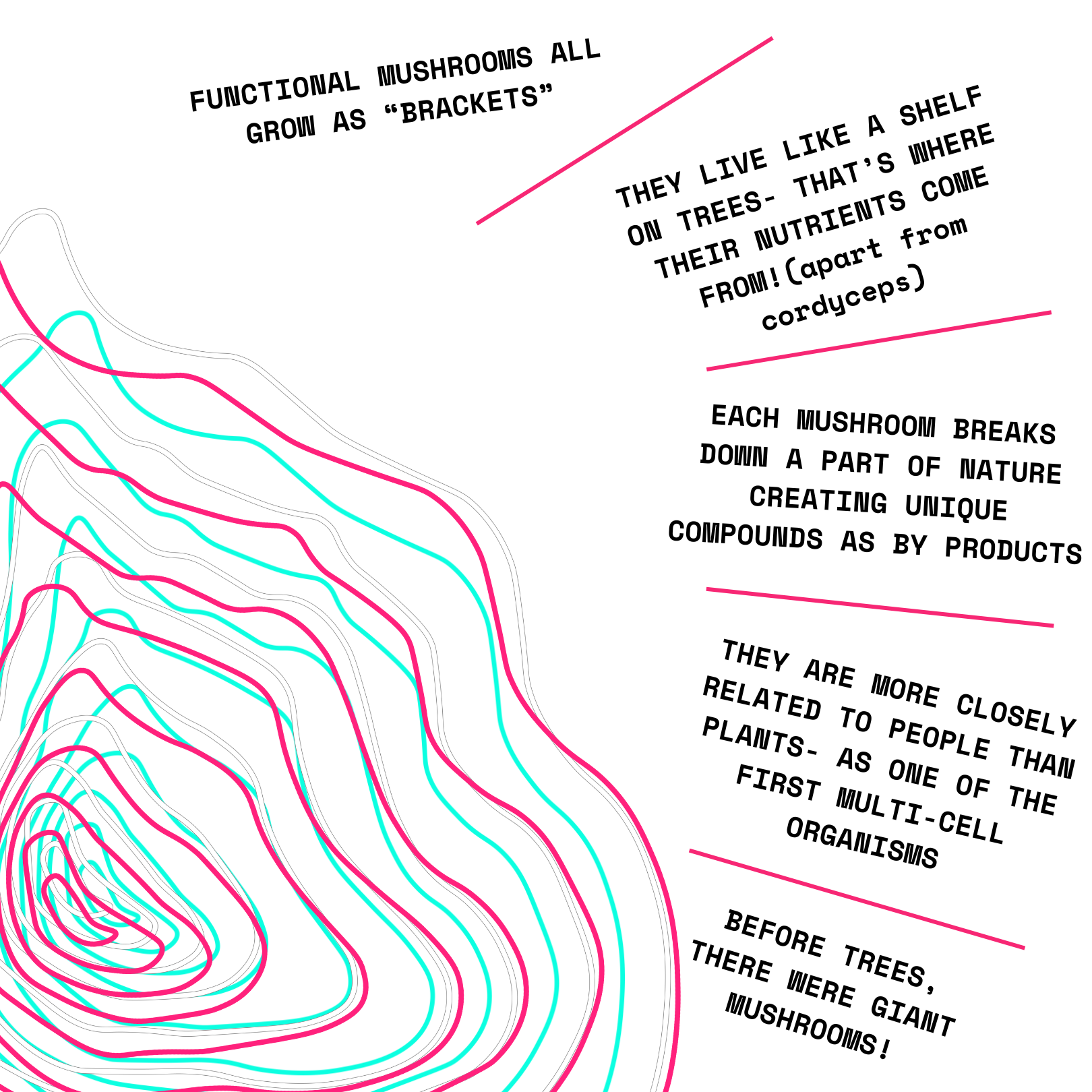 Organic 100% Chaga Mushroom Concentrate Supplement- 60 Servings