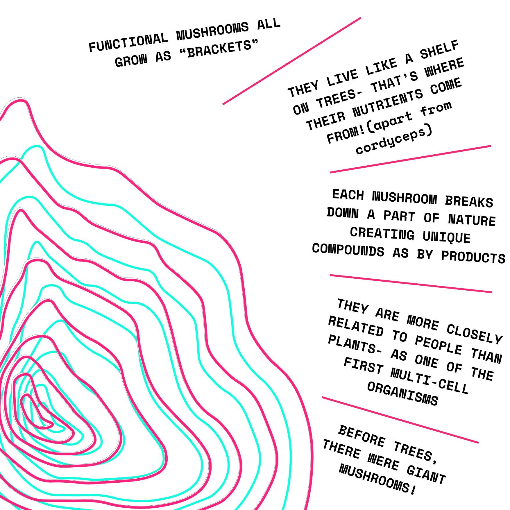 Organic & Pure 100% Cordyceps Mushroom Concentrate Supplement- 60 Servings